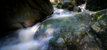 Waterfall is flowing in jungle. Waterfall in green forest. Mountain waterfall. Cascading stream in...