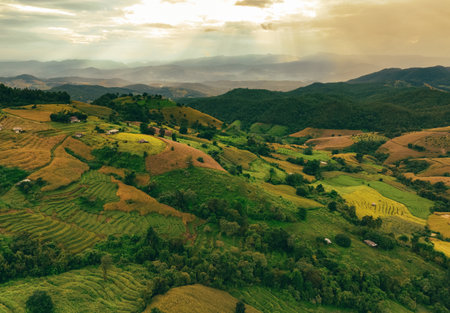 Landscape of green mountains with terraced rice paddies, and lush plantations. Serene environment....