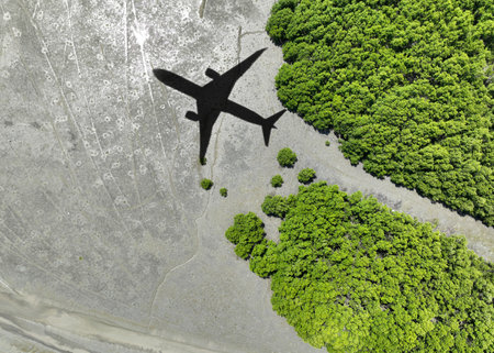Shadow airplane flying above mangrove forest. Sustainable fuel. Biofuel in aviation. Sustainable transportation and eco-friendly flight with biofuel use. Aviation sustainability. Mangroves capture CO2の写真素材