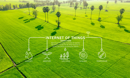 Smart agriculture with modern technology for sustainable practices. Rice farm. Smart farming concept. Sustainable agriculture. Precision agriculture. IoT and sensor technology for smart farming.の写真素材