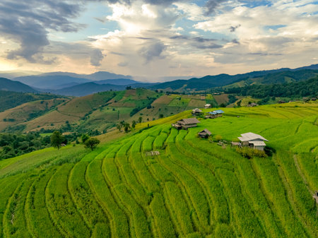 Landscape of green rice terraces and traditional huts in a village near Chiangmai, Thailand. Travel destinations. Beauty of terraced rice fields. Rural life and traditional farming practices in Asia.の写真素材
