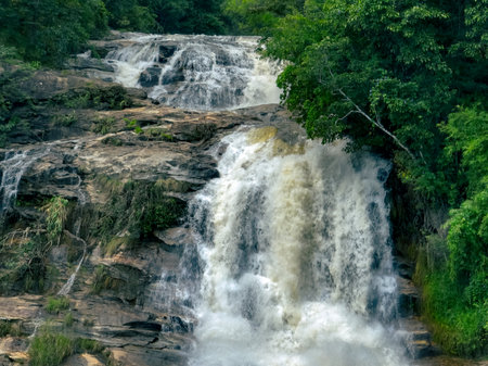 Waterfall in a lush tropical green forest in Doi Inthanon National Park, Chiang Mai, Thailand. This nature landscape showcases water sustainability and scenic travel destinations. Water conservation.の写真素材