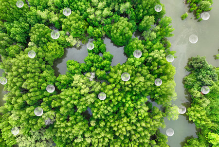Carbon neutrality concept. Green tree capture of carbon emissions from factories and transportation. Natural carbon sinks, CO2 reduction, pollution balance, and environmental sustainability.の写真素材