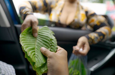 Local Thai customer reaches from car window to purchase fresh kratom leaves from traditional...