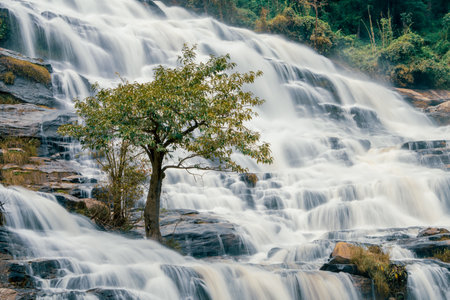 Beautiful waterfall with a lush green forest in the background. The water is flowing down the rocks and creating a beautiful scene. Waterfall in lush forest promoting water sustainability.の写真素材