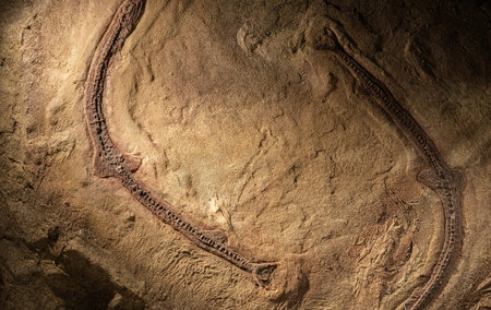 Ancient fossil discovery perfectly preserved prehistoric creature remains in layered rock formation...