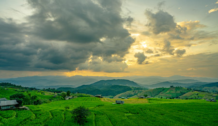 Sunset casts golden light over rolling green hills and rice terrace fields with rural village in the mountains. Eco living and sustainable agriculture. Organic farming. Beauty of sustainable living.の写真素材