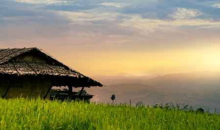 Traditional rural scene at sunset with thatched house and green rice field under distant mountain skyline. Tranquil beauty of countryside life and eco-friendly farming. Peaceful agricultural field.の写真素材
