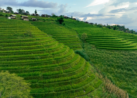 Landscape of green rice terraces and traditional huts in a village near Chiangmai, Thailand. Travel destinations. Beauty of terraced rice fields. Rural life and traditional farming practices in Asia.の写真素材