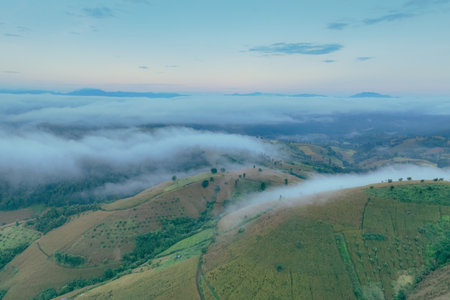 Serene aerial view of green hills covered in morning fog at dawn. Peaceful countryside in a scenic rural landscape, ideal for nature, wellness, and travel themes. Eco tourism, and landscape beauty.の写真素材