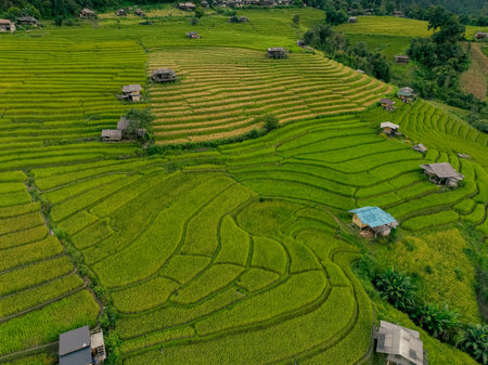 Vibrant landscape of green rice terraces with cloudy atmosphere and distant village houses in northern Thailand, reflecting harmony with nature and authentic rural lifestyle for eco travelers.の写真素材
