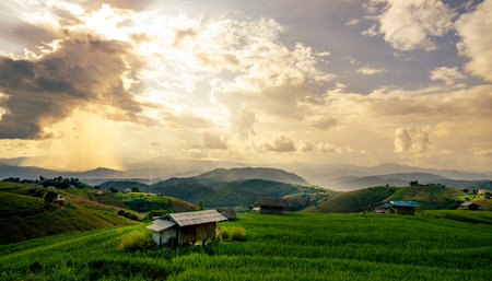 Peaceful rural landscape of terraced rice fields across rolling green hills under dramatic sunset sky, showing sustainable farming and eco lifestyle in a southeast Asian valley at dusk. Quiet village.の写真素材