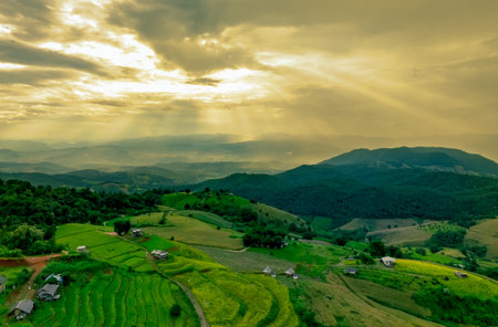 Beautiful hills display vibrant green fields bathed in soft golden light, accented by dramatic clouds. A stunning rural landscape perfect for showcasing nature's serenity and beauty.の写真素材