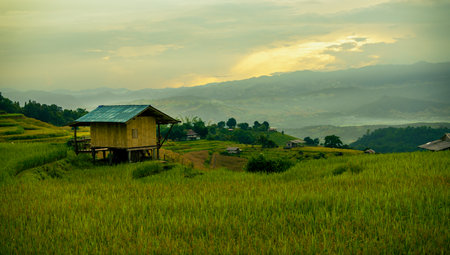 Scenic rural landscape at sunrise with a wooden house above lush green rice terraces and misty mountains, capturing peaceful farming lifestyle and sustainable agriculture in highland Asiaの写真素材