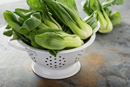 Fresh baby bok choyの写真素材