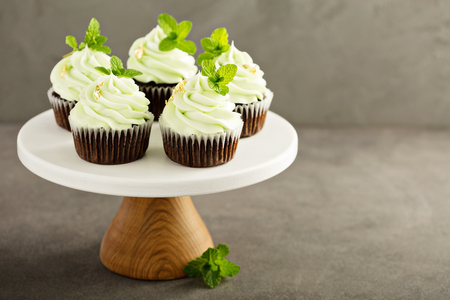 Chocolate mint cupcakes with green frostingの写真素材