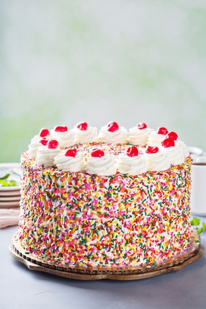 Birthday cake covered in sprinklesの写真素材