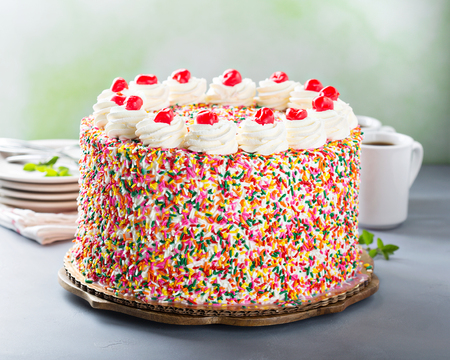 Birthday cake covered in sprinklesの写真素材