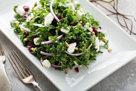 Kale salad with cranberry and fetaの写真素材
