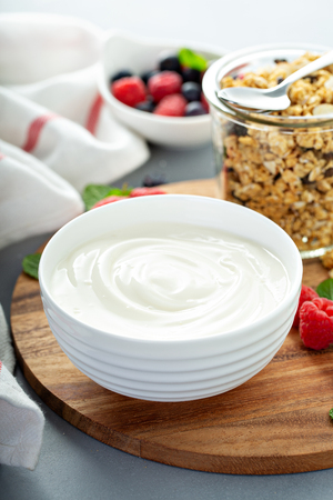 Plain yougurt with granola on sideの写真素材