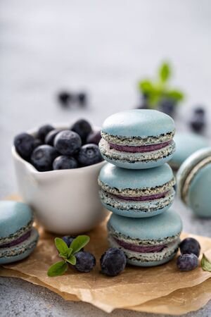 Blueberry macarons with fresh berries on the tableの写真素材