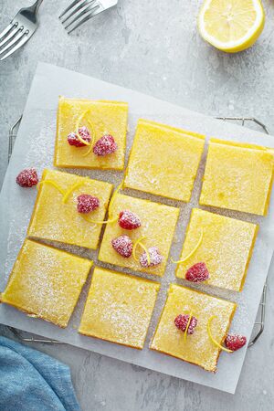 Lemon bar dessert with powdered sugar, lemon zest and raspberryの写真素材