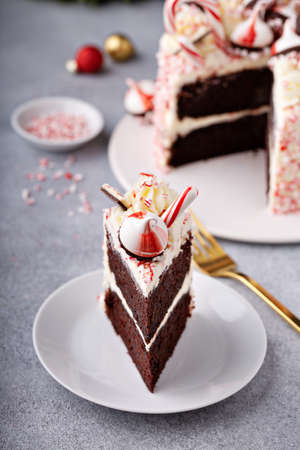 Peppermint bark and chocolate cake for Christmas on a festive backgroundの写真素材