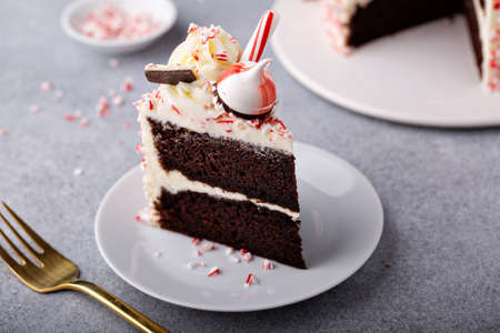 Peppermint bark and chocolate cake for Christmas on a festive backgroundの写真素材