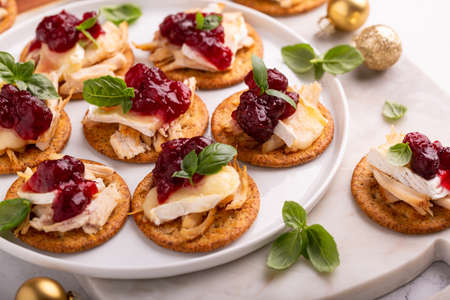 Party appetizers with turkey, brie and cranberry sauceの写真素材