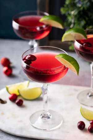 Cranberry lime vodka cocktail, Christmas cocktail ideaの写真素材