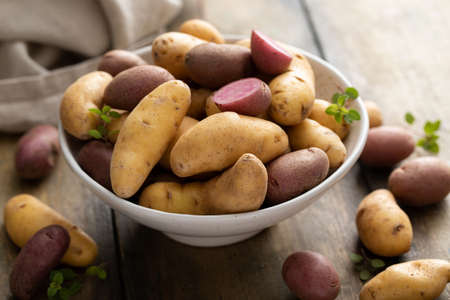Yellow and purple fingerling potatoes ready to be cookedの写真素材