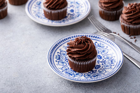 Chocolate cupcakes with dark chocolate whipped ganache frosting and chocolate sprinklesの写真素材
