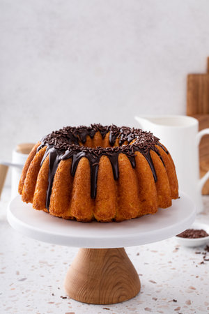 Orange pound bundt cake with dark chocolate ganache and chocolate sprinklesの写真素材
