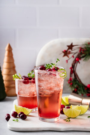 Refreshing cranberry lime cocktail for Christmas with lime zest and thyme garnishの写真素材