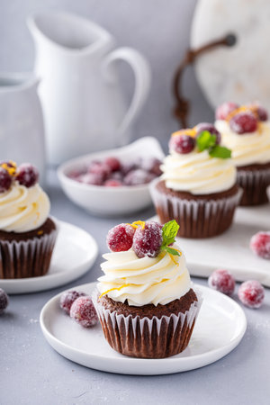 Festive chocolate and orange cupcakes with white chocolate frosting garnished with sugared cranberry and orange zestの写真素材