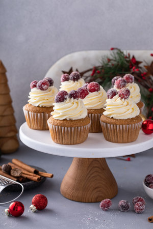 Spiced cinnamon and cranberry cupcakes topped with sugared cranberries, dessert for Christmas or Thanksgivingの写真素材