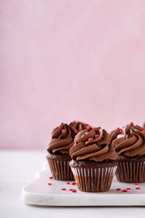 Dark chocolate cupcakes with chocolate ganache frostingの写真素材