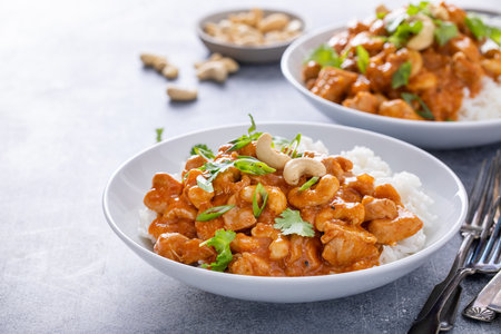 Chicken curry or butter chicken with cashew nuts and cilantroの写真素材