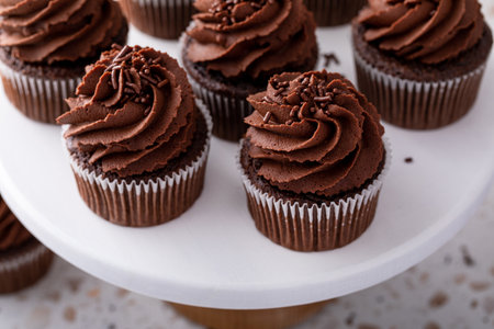 Chocolate cupcakes topped with whipped chocolate ganache and chocolate sprinklesの写真素材