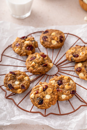 White chocolate and dried cranberry cookies freshly baked on a cooling rackの写真素材