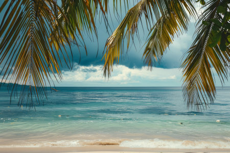 Pristine beach view through palm trees on a sunny day with clear blue skiesの素材