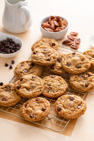 Chocolate chip cookies with pecan nuts, freshly baked cookies on a cooling rackの写真素材