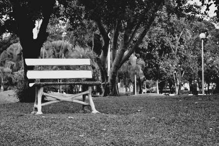 Alone in the gardenの素材