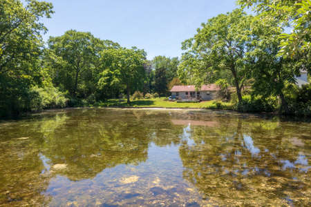 Pond overgrown with green duckweed in East Greenwich, RI, on a summer day.の写真素材