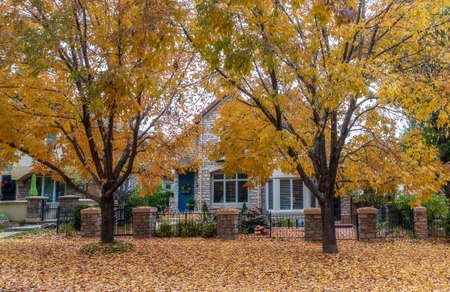 Houses in a suburb with fall foliage in Denver, Colorado.の写真素材
