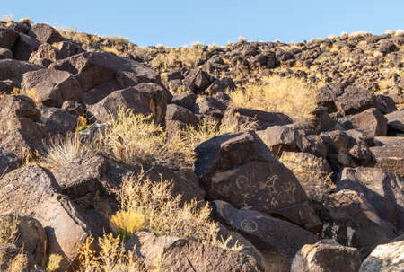 Ancient Native American Rock Art in Petroglyph National Monument, Albuquerque, New Mexicoの写真素材