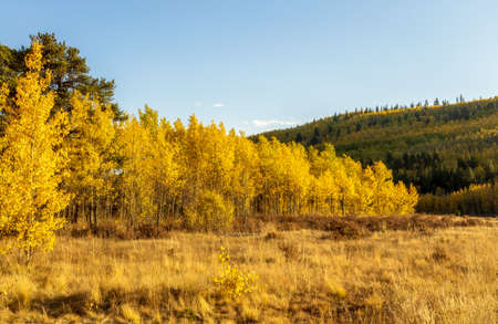 Scenery Autumn landscape in the Rocky Mountains of Colorado - Kenosha Passの写真素材