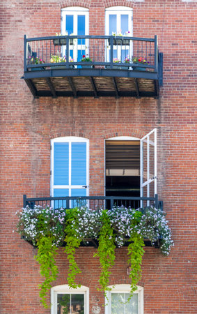 Flowers window faÃ§ade in Downtown Denver, Coloradoの写真素材