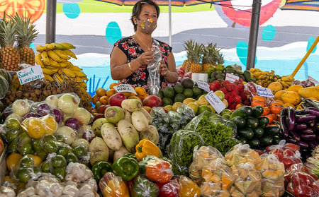 Hilo, Hawaii - November 27, 2021: A woman selling fruits and vegetables on the Hilo Farmer Marketのeditorial素材
