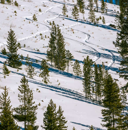 Beautiful winter landscape with evergreen trees and ski tracks in the Rocky Mountains, Colorado, near lake Dillonの写真素材